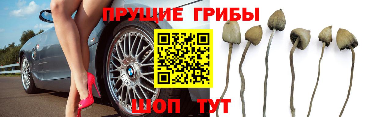 Галлюциногенные грибы Magic Shrooms  Вход с VPN  как найти наркотики  Ижевск 
